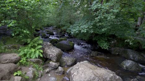 Malerischer-Blick-Auf-Einen-Bach-Oder-Fluss-Im-Nationalpark-Lake-District,-Cumbria,-England