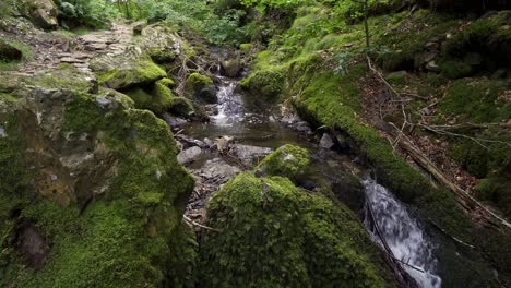 Beautiful-quiet-stream-with-moss-covered-stones-and-ferns-in-Cumbrian-Woods-forest