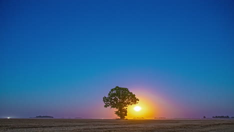A-full-glowing-super-moon-rising-over-a-tree-in-the-European-countryside---time-lapse
