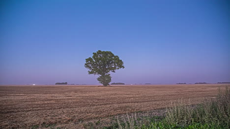 Twilight-time-lapse-over-freshy-harvested-farmland,-a-tree-and-then-the-full-moon-rising