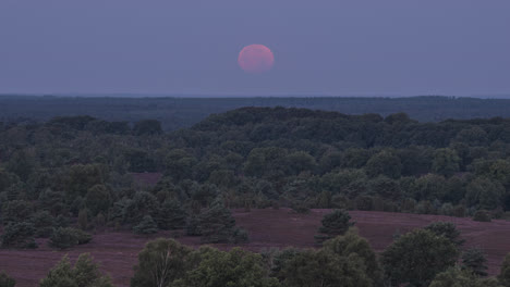 Full-Moon-Setting-in-Heath-Landscape-in-Northern-Germany