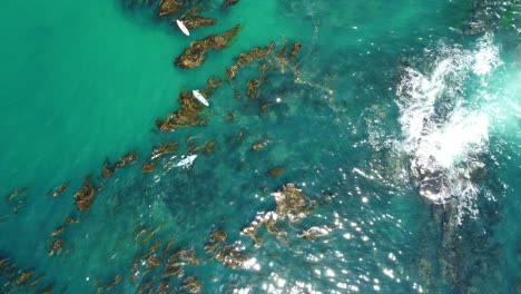 Birdseye-Aerial-View-of-Kayaks-in-Ocean-Water-by-Laguna-Beach,-Orange-County,-CA-USA,-High-Angle-Drone-Shot