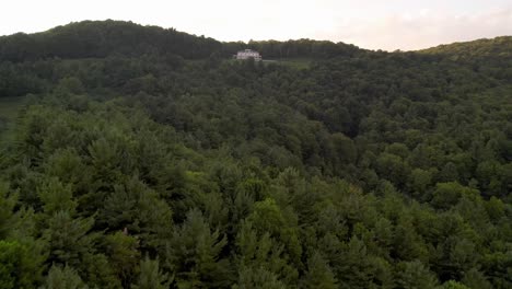 Aerial-over-treetops-push-into-the-moses-cone-manor-house