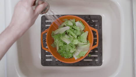 A-Caucasian-male-is-washing-and-rinsing-lettuce-in-a-home-kitchen-1