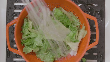 A-Caucasian-male-is-washing-and-rinsing-lettuce-in-a-home-kitchen
