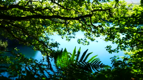 Sparkling-idyllic-tropical-paradise-blue-lagoon-lake-through-dense-jungle-woodland-foliage