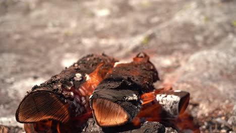Closeup-of-burning-bonfire-and-stick-with-raw-deer-meat-entering-frame-from-the-left-after-few-seconds---Outdoor-sunny-day-food-preparation-and-wilderness-survival