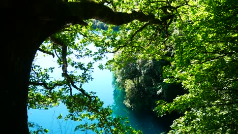 Funkelnder-Blauer-Lagunensee-Des-Tropischen-Paradieses-Durch-Dichtes-Dschungelwaldlaub