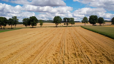 Luftbild-Eines-Landwirtschaftlichen-Weizenfeldes,-Das-Für-Den-Anbau-Bereit-Ist