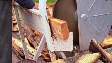 Saw-cutting-pine-wood-to-prepare-for-winter---Closeup-of-saw-and-firewood-falling-into-full-wheelbarrow