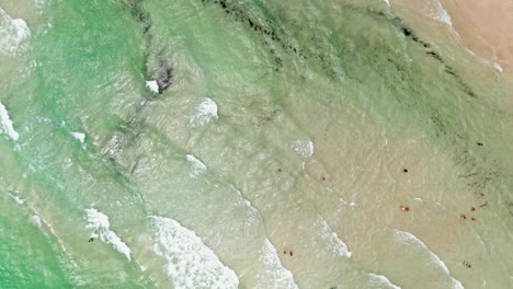 Atlantic-ocean-waves-hitting-sandy-Miami-coastline,-aerial-top-down-view