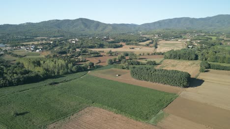 Aerial-images-of-agricultural-field-in-tordera-province-of-barcelona