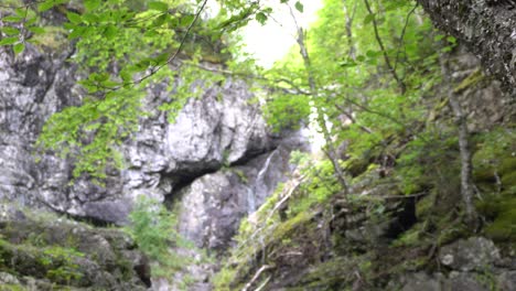Versteckt-Hinter-üppiger-Vegetation,-Ein-Wasserfall,-Der-Ins-Unendliche-Fließt