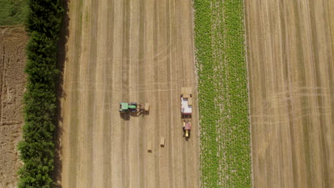 Harvesting-season-in-Europe,-hot-summer-day-in-hay-field