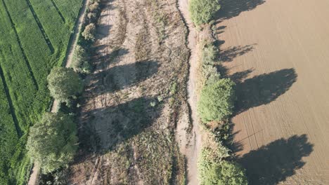 Dry-river-affected-by-the-drought-in-Europe-in-the-agricultural-area-of-Barcelona