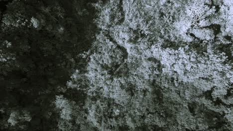 Schwarz-Weiß-Aufnahme-Einer-Lagune-Aus-Der-Vogelperspektive