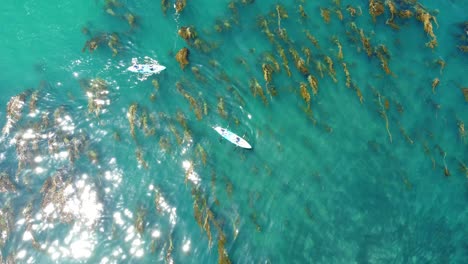 Top-Down-Aerial-View-of-People-and-Kayaks-in-Turquoise-Ocean-Lagoon,-High-Angle-Drone-Shot