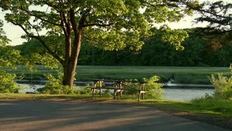 Low-drone-sliding-left-toward-empty-picnic-table-and-rope-swing-with-river-in-the-background-during-golden-hour-in-stratham,-nh-near-exeter