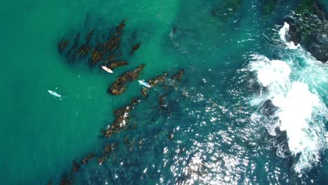 Birds-Eye-Aerial-View-of-People-in-Kayaks-Kayaking-in-Turquoise-Ocean-Water-Near-Laguna-Beach,-California-USA
