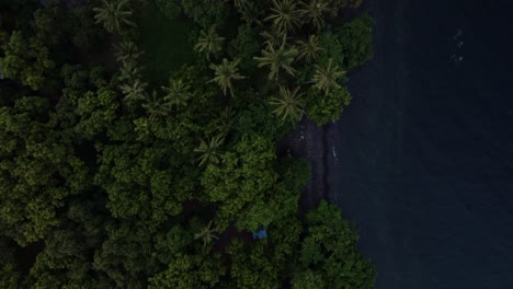 Aerial-top-view-over-green-forest-along-tropical-coastline