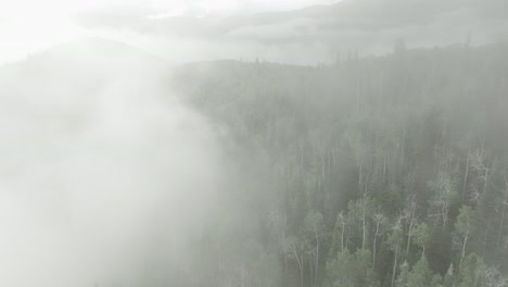 Antenne-Des-Niedrigen-Nebels,-Der-über-Berg--Und-Waldbäumen-Hängt-10