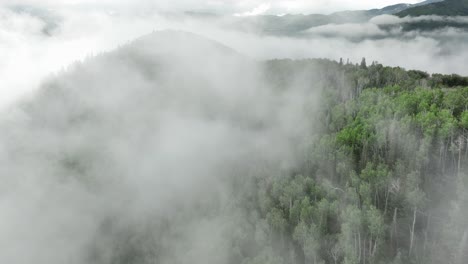 Antenne-Des-Niedrigen-Nebels,-Der-über-Berg--Und-Waldbäumen-Hängt-9