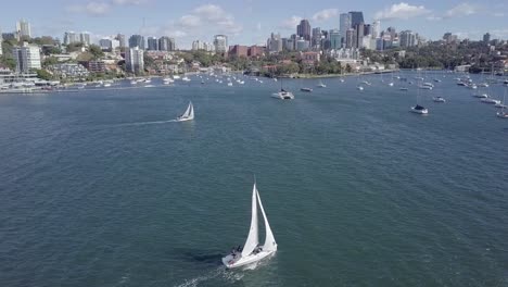 Segelyachten-Und-Mehrere-Andere-Boote,-Die-Im-Hafen-Von-Sydney-Treiben