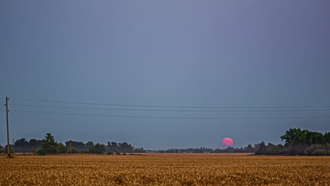 Timelapse-shot-of-full-moon-rising-over-ripe-brown-wheat-field-during-evening-time