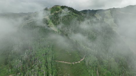 Antenne-Des-Niedrigen-Nebels,-Der-über-Berg--Und-Waldbäumen-Hängt-2