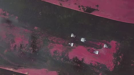 Cranberry-Pflückmaschinen-Ernten-überschwemmtes-Feld,-Wisconsin,-USA