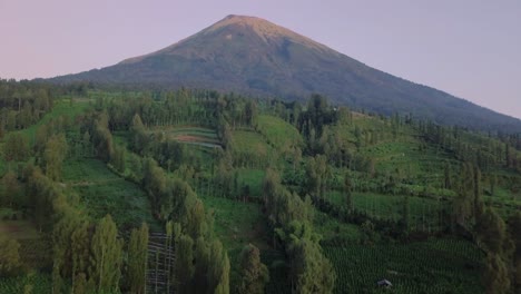 Sobrevuelo-Aéreo-Plantación-De-Tabaco-Que-Crece-En-Un-Paisaje-Montañoso-Y-Una-Montaña-Gigante-En-El-Fondo---Java-Central,-Indonesia