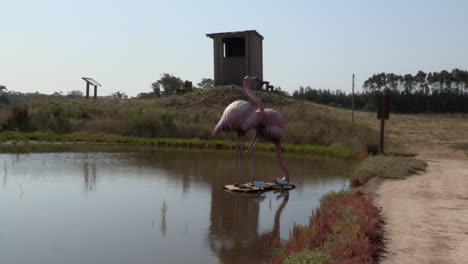 Seevogelwarte-Mit-Einer-Skulptur-Von-Zwei-Rosa-Flamingos