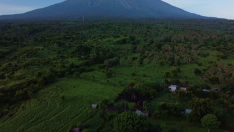 Tropical-Amed-valley-revealing-Mount-Agung-in-background