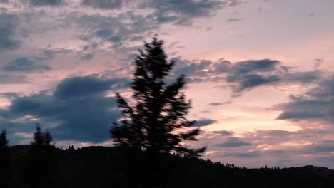 Aerial-on-zoom-lens-of-sunset-over-mountains-as-pine-tree-flys-past-in-the-foreground