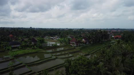 Vista-Aérea-Terraza-De-Arroz-Llena-De-Agua-En-La-Tarde-Bali,-Indonesia