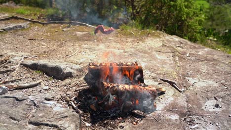Wild-game-deer-meat-grilled-on-a-stick-above-bonfire-open-flames-in-nature---Slow-motion