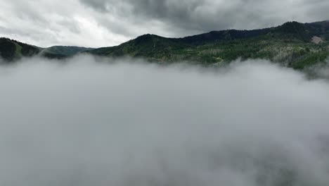 Antenne-Des-Niedrigen-Nebels,-Der-über-Berg--Und-Waldbäumen-Hängt-3