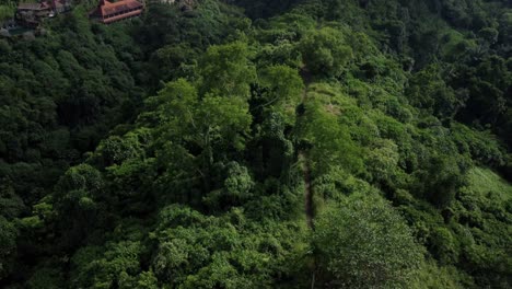 Scenic-aerial-view-of-campuhan-ridge-walk,-ubud-bali