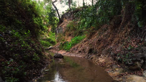 Dem-Fluss-Des-Wassers-Zwischen-Tropischer-Vegetation-Folgend