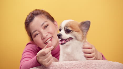 Asian-gorgeous-young-woman-playing-with-chihuahua-mix-pomeranian-dogs-for-relaxation-on-bright-yellow-background