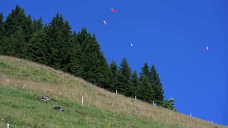 Four-colorful-parachutes-fly-above-fir-trees-and-grass-meadows-in-Obwalden,-blue-sky-in-broad-daylight