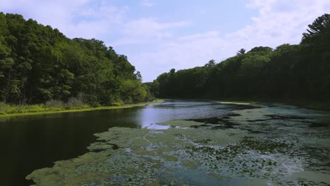 Forward-tracking-of-a-swampy-lagoon-in-Michigan