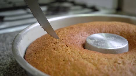 Checking-Carrot-Cake-In-Tube-Pan-If-Done-By-Inserting-A-Paring-Knife