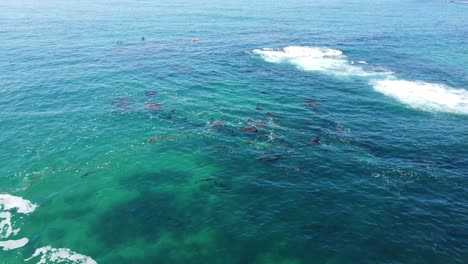 Laguna-Beach-CA-USA,-Aerial-View-of-People-Kayaking-in-Turquoise-Pacific-Ocean,-Revealing-Drone-Shot