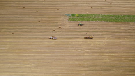 Agriculture-Fields-During-Harvest-Season---aerial-panoramic