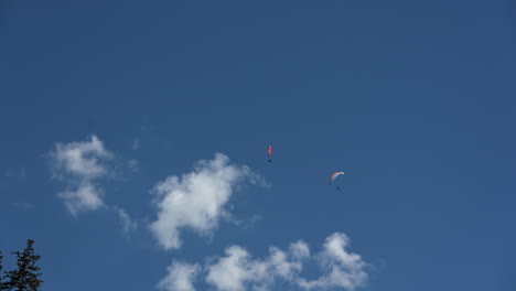 Dos-Paracaídas-Vuelan-Sobre-Un-Bosque-De-Abetos-En-Los-Alpes-Suizos,-Cielo-Azul-Con-Algunas-Nubes