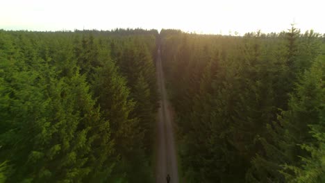 Drone-fly-over-a-straight-road-leading-through-the-forest-towards-sunrise-with-a-man-walking-through-the-forest