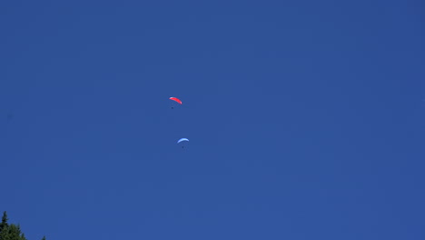 Drei-Fallschirme-Fliegen-In-Einem-Blauen-Himmel-Und-Eine-Wolke-über-Tannenwald-In-Den-Schweizer-Alpen,-Obwalden