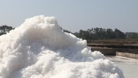 Image-of-a-pile-of-white-salt-collected-from-the-salt-pans-of-sea-water