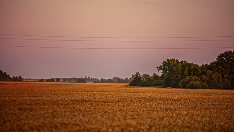 Cultivated-farmland-in-the-European-countryside-at-sunset---time-lapse